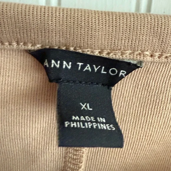 Ann Taylor Taupe Pullover Sweatshirt with Black Piping Size XL - Picture 3 of 5